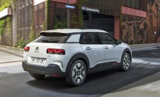 C4 Cactus.